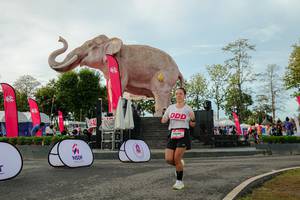 BIB: 
                            <button type="button" onclick="openModal(26529141)" class="btn btn-primary btn-sm float-right btn-popup" data-toggle="modal" data-target=".modal-high-quality">
                        <i class="fas fa-shopping-cart"></i> Add to Cart
                    </button>
                                            <button type="button" onclick="isThisMe(26529141, true)" class="btn btn-success btn-sm float-right btn-popup btn-isme hidden" data-toggle="tooltip" data-placement="bottom" title="นี่คือรูปของคุณใช่ไหม คลิกที่นี่เพื่อเอาเข้าอัลบั้ม">
                        <i class="fas fa-plus"></i> Add to album
                    </button>
                    <button type="button" onclick="isThisMe(26529141, false)" class="btn btn-warning btn-sm float-right btn-popup btn-isnotme hidden">
                        <i class="fas fa-ban"></i> Remove from album
                    </button>